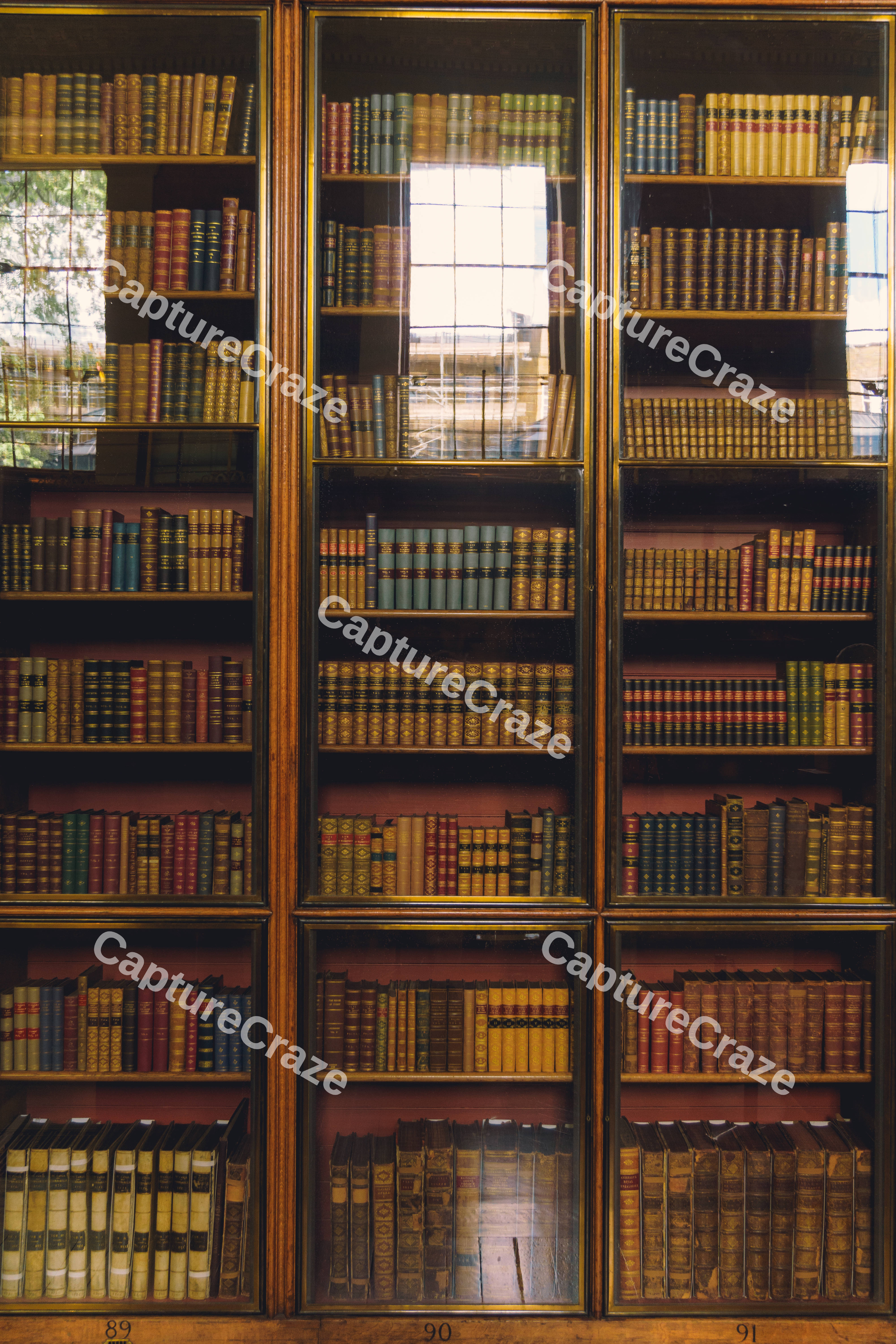 Abundance of Books